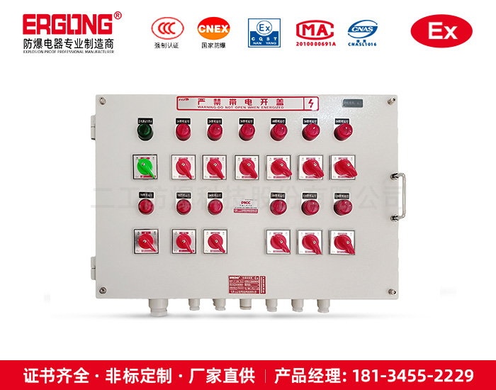 管廊设计全自动化工防爆消防配电箱电动机控制插座箱