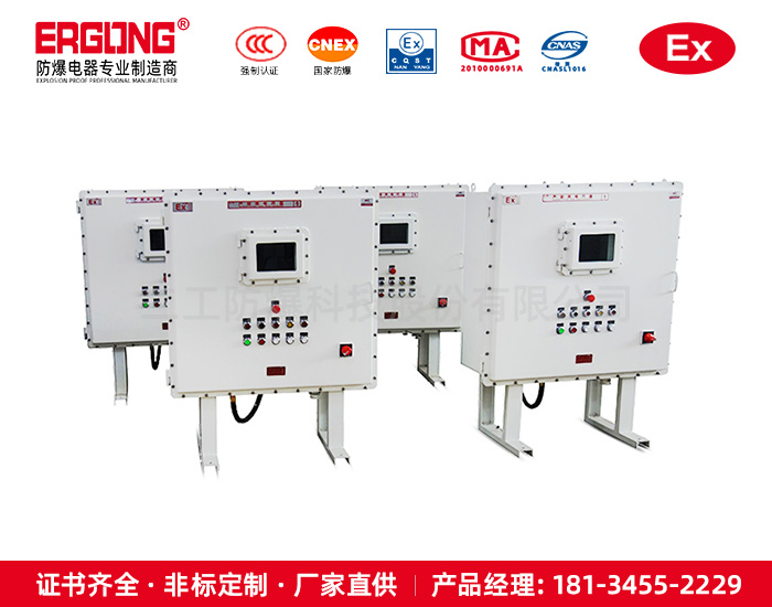 防爆配电箱化工自动化实力厂家制造