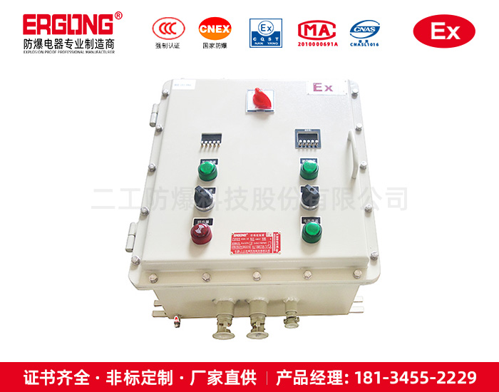 电机正反转防爆控制箱
