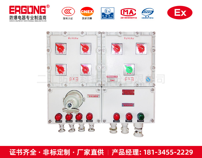 二工防爆配电箱制造厂家-高压静电喷塑经久耐用