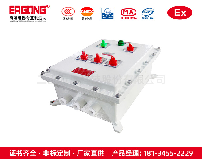 五相四芯防爆插座箱检修箱定制加工厂