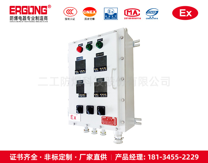 防爆配电箱用于温度组别为T1-T6的环境-专业制造商