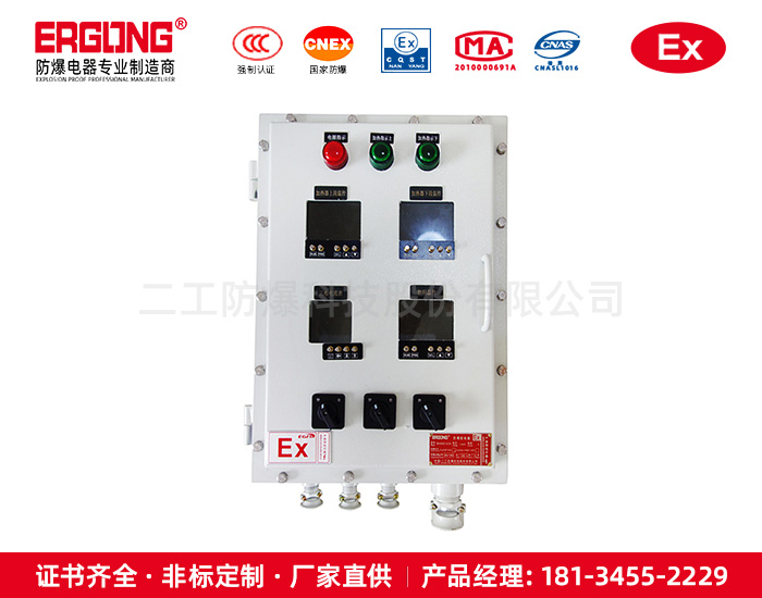 ⅡC增安型防爆配电箱-爆炸性气体环境仪表箱电气厂家