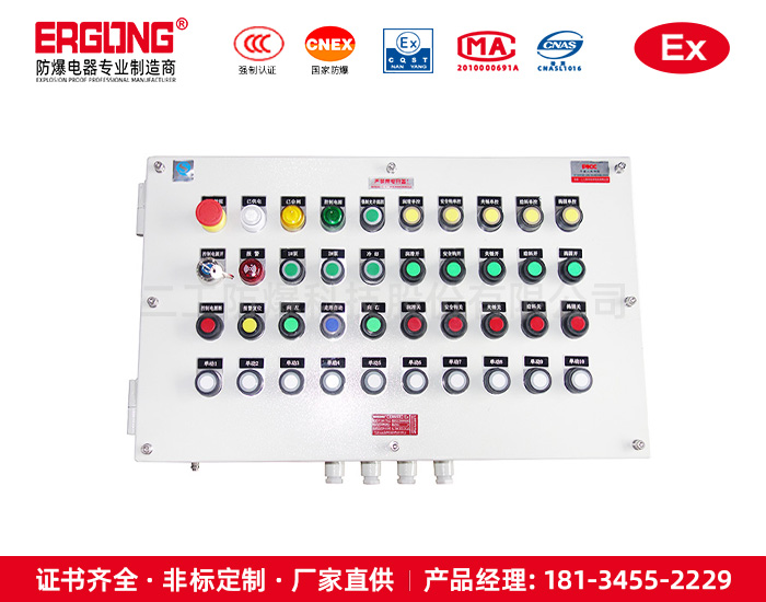 综合管廊工业防爆插座箱优质钢板磁力防爆启动器