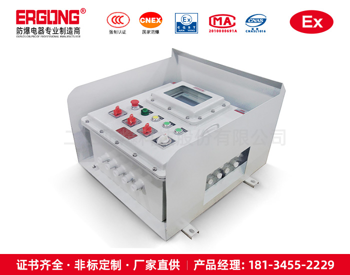 综合管廊IIB级防爆检修配电箱中石化电源插座箱